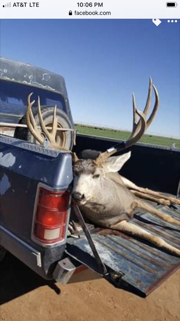 Large West Texas Mule Deer for trade - The Hunt Exchange